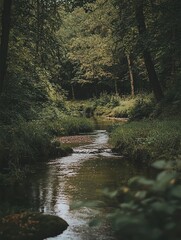 Naklejka premium A serene forest stream winding through lush greenery, reflecting nature's beauty in tranquil waters.