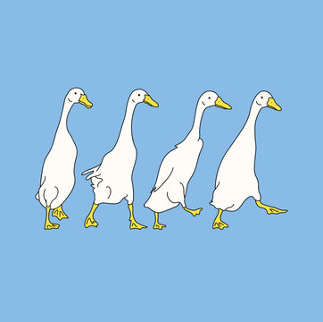 Hand drawn ducks walking crossing the street vector, cute runner duck vector