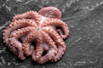 Sea food. One fresh raw octopus on dark table, above view. Space for text