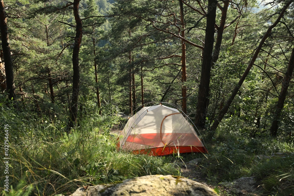 Wall mural Modern camping tent in forest at summer