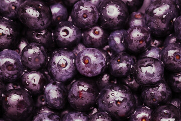 Wet acai berries as background, closeup view