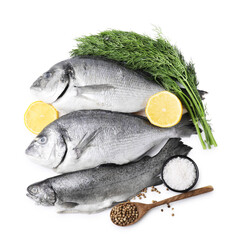Sea food. Different types of fresh fish isolated on white, top view