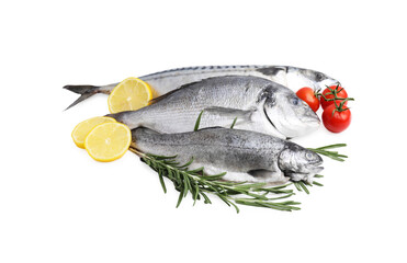 Sea food. Different types of fresh fish with lemon, rosemary and tomatoes isolated on white