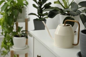 Watering can and beautiful houseplants at home