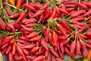 Red chili pepper on branches with green leaves. Flora plants flowers floristry.