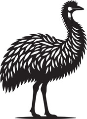 Fototapeta premium Emu silhouette vector