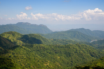 rain forest at Khao Kho, Phetchabun, Thailand