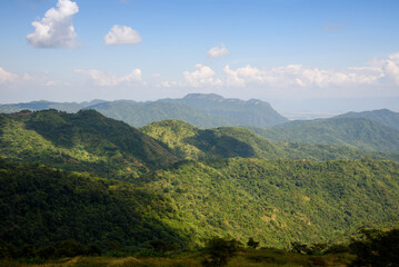 Obraz premium rain forest at Khao Kho, Phetchabun, Thailand