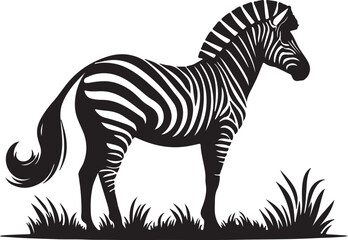 zebra vector style illustration image 