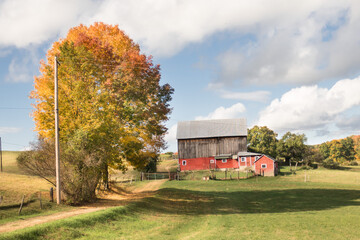 New England barn down a country lane on a brilliant autumn day. Blue sky, clouds, autumn colors. © Gerald Zaffuts