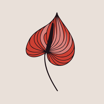 red anthurium flower simple style clip art preview