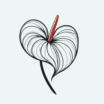 anthurium flower black and red line art clip art preview