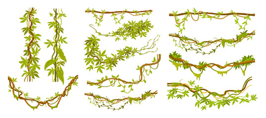 Liana plants. Tropical climbing creepers branches with moss, rainforest flora flat vector illustration set. Cartoon jungle liana vines on white © GreenSkyStudio