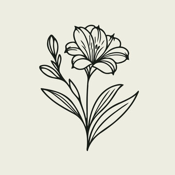 recommend clip art: Adobe Illustrator Artwork
                    set of contour spring flowers Spathiphyllum
                    line art floral, leaves
                    black and white illustration Anthurium
                    set of decorative elements of plants stylized Aglaonema, Calla