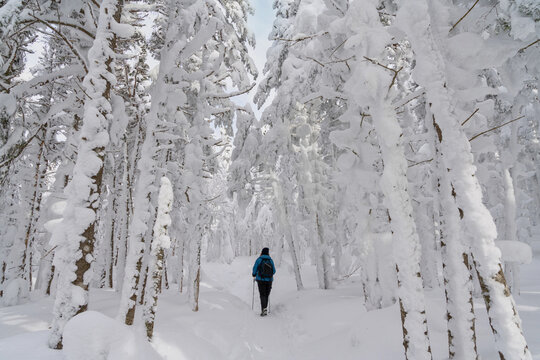 woman hiking up a snowy covered trail in the White Mountains