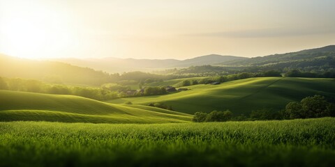Obraz premium This picturesque landscape captures the endless rolling green hills bathed in the soft light of a bright morning sun, exemplifying natural beauty and tranquility.