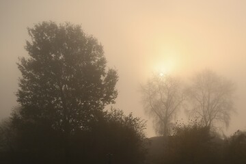 Mglisty poranek