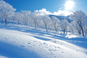 Obraz premium Snowy winter season background in nature