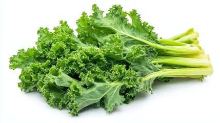 image of the mustard greens. on a white background. cut off --ar 16:9 --v 6.1 Job ID: 127ab3f9-e4ea-4021-9b9a-a2762d7f9609