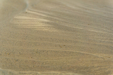Sand in the river. Sort of like a background texture.
