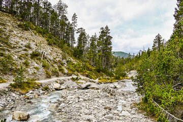 Obraz premium Zernez, Ofenpass, Bach, Ova dal Fuorn, Wanderweg, Uferweg, Passstrasse, Engadin, Nationalpark, Alpen, Herbst, Herbstfarben, Graubünden, Schweiz