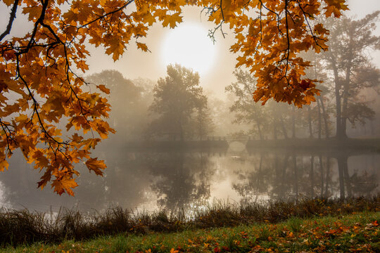 Morning autumn fog in Alexander park in Tsarskoe Selo (Pushkin), St. Petersburg, Russia