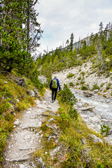 Obraz premium Zernez, Ofenpass, Bach, Ova dal Fuorn, Wanderweg, Uferweg, Passstrasse, Engadin, Nationalpark, Alpen, Herbst, Herbstfarben, Graubünden, Schweiz