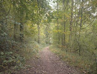 Beautiful view of the Bois Castagne