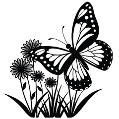 black and white butterfly