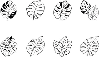 Black and White Monstera Leaf Outline Illustrations