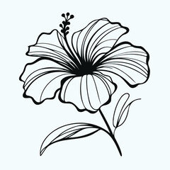 Adobe Illustrator Artwork
set of contour spring flowers hibiscus
line art floral, leaves
black and white illustration Chinese rose
set of decorative elements of plants stylized