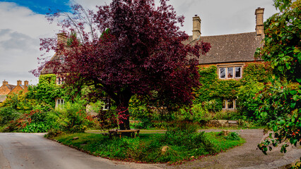 A beuatiful walk in Gloucestershire
