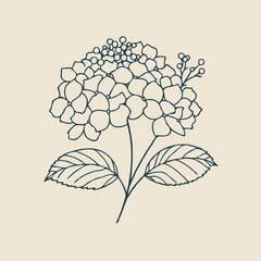 Adobe Illustrator Artwork
set of contour spring flowers Geranium
line art floral, leaves
black and white illustration Hydrangea
set of decorative elements of plants stylized Rhododendron