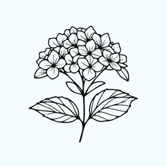 Adobe Illustrator Artwork
set of contour spring flowers Geranium
line art floral, leaves
black and white illustration Hydrangea
set of decorative elements of plants stylized Rhododendron