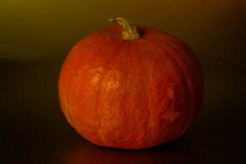 Hokkaido on a gold background