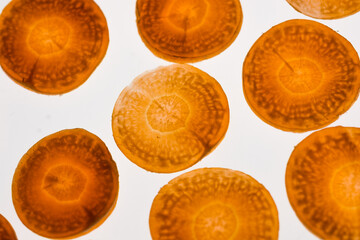 VEGETALES RETROILUMINADOS