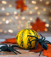 Halloween decor with pumpkin, spiders, autumn leaves on a wooden background. Close-up. Selective...