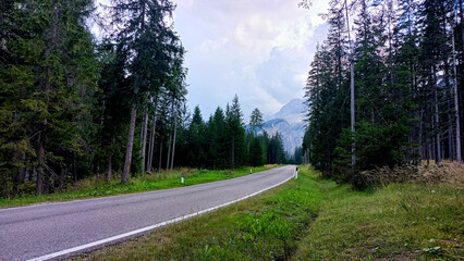 Towards the mountains passing through the woods