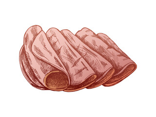 Hand-drawn colored vector sketch of  pork meat, ham slice, prosciutto vintage sketch. Butcher shop.