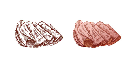 Hand-drawn colored and monochrome vector sketch of  pork meat, ham slice, prosciutto vintage sketch. Butcher shop. Great for label, restaurant menu. Engraved image.