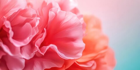 Naklejka premium Close-up of vibrant pink flower petals on a soft blurred background.