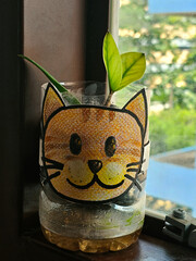 Eco-friendly DIY plant pot from recycled water bottle with cute cat face design, perfect for indoor gardening, home decor by window, or upcycled crafts in small spaces.