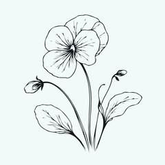 Fototapeta premium Adobe Illustrator Artwork set of contour spring flowers pansies line art floral, leaves black and white illustration Violet set of decorative elements of plants stylized Violet Wittrock