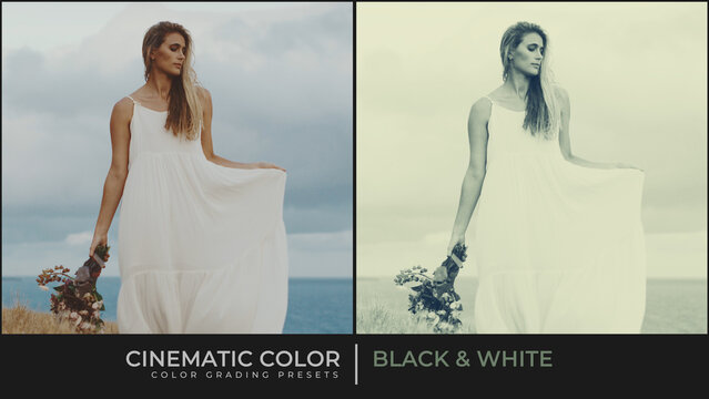 Black and White Creative Cinematic Color Grading Presets