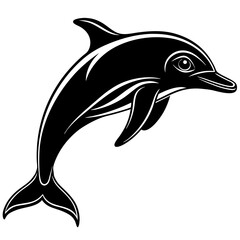 dolphin illustration