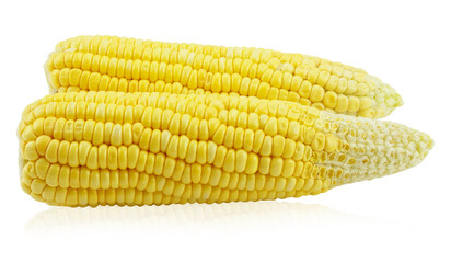 An ear of corn isolated on a white background