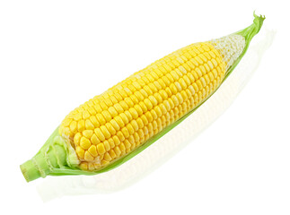 An ear of corn isolated on a white background