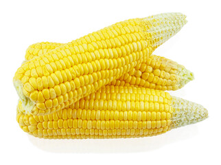 An ear of corn isolated on a white background,picture saved with clipping path