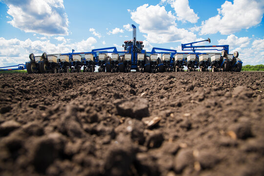 Row seed drill grain. Seed sowing device.