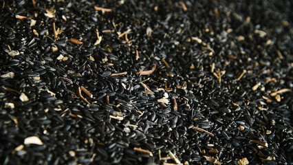 Mountain of sunflower seeds in the hangar